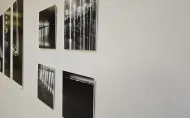 FOTOwyst 